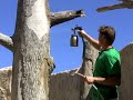 How To Home Improvements, Decorative Concrete Training