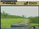 Sunrise drive 121007-3