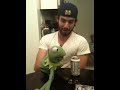 Kermit The Frog in Rehab