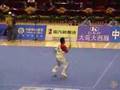 Shao Chang Yun Dao Shu