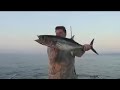 Tuna Fishing in Cyprus Tuna Fishing in Cyprus