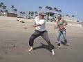 Techno Capoeira (starring Jolieba Jackson)