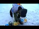 freestyle.ch snowboard 1st stephan maurer