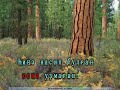 bashkortostan karoke bashkortostan karoke