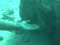 Fiji Scuba Diving Fiji Scuba Diving