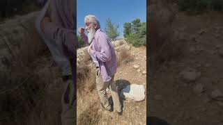 قرية بيت ثول برفقة الباحث روعي ماروم والباحث صهيب علقم (4) قرية بيت ثول برفقة الباحث روعي ماروم والباحث صهيب علقم (4)