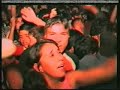 Yerba Brava Monito Yerba Brava Monito