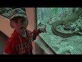 Алматинский зоопарк. Almaty Zoo. 2011