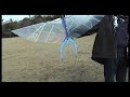 Tupuxuara 7-5 Pterosaur RC Ornithopter Tail motion