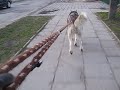 oto film z treningu