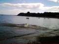 videos de isnt devon crappy?