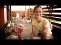 Become a Volunteer at Animal Acres! Become a Volunteer at Animal Acres!