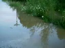 Flooded Country Road Flooded Country Road
