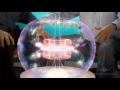 Torus Dynamo - Adam Trombly