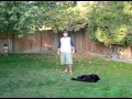 earth bending test