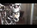 Sideshow Collectibles 1:1 T-800 Endoskull