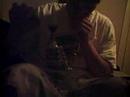 the-ashcatcher.html