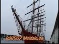 Hanse Hansekaufleute Pferde Harley Sound