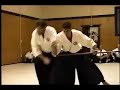 Seibukan Jujutsu Sandan Seibukan Jujutsu Sandan
