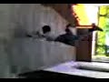 este ni�osi que asbe mantenerequilibrio en esta pocision que tal he