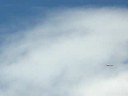 AEROMODELISMO EN TOLUCA,  NEXTAR VUELO INVERTIDO