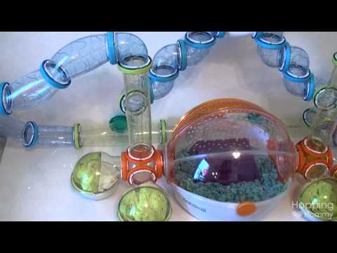 hamster - Available in HD** Hello everyone! Firstly, thanks to everyone who requested this video! Secondly, hello to all of my new subscribers and thank you SO much ...