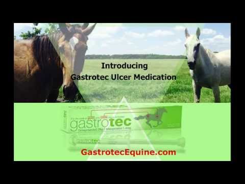 how to cure equine ulcers