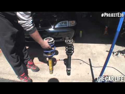 how to adjust b&g coilovers