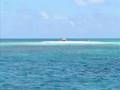 Croisière plongée aux Caraïbes, Martinique