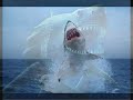 megalodon_0001.wmv