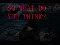 megalodon_0001.wmv