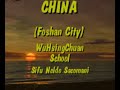Ving Tsun Foshan Ching Wu