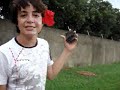 ? Meu nome n�o � Jhony - ariquemes