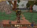 Ten gold pieces? - Ultima IX Ten gold pieces? - Ultima IX