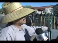 REPORTAJE ESPECIAL INDOCUMENTADOS PARTE 1