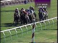 1994 Hollywood Derby Grade I