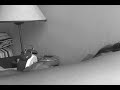 Ejercicio de Pixilation: Despierta (oct 2007) Ejercicio de Pixilation: Despierta (oct 2007)
