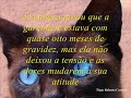 O Espelho... uma hist�ria de amor