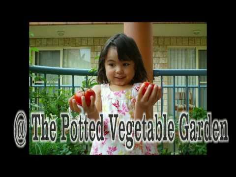 how to plant sweet basil