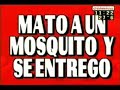 La Televisión (Compilado de videos) - Primera Parte