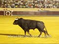 Recortes en M�stoles 2007
