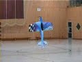 Best Remote Control Pilot I've Ever Seen! (Martin Muller)