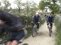 A Corrida das Vacas Amarelas