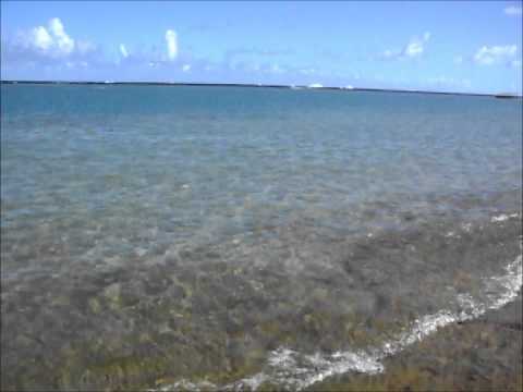 Cannot Connect to Youtube Server - Praia do Francês Alagoas - Meteo - Affitti - Appartamenti - Consigli di viaggio Cannot Connect to Youtube Server - Praia do Francês Alagoas - Meteo - Affitti - Appartamenti - Consigli di viaggio