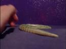 Chinise snake on my bed Animation