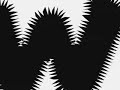 Webcam Idol- Teaser Trailer Webcam Idol- Teaser Trailer