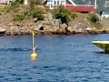 Stupetårn Farsund Stupetårn Farsund