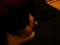 Riley saying goodbye to Daddy