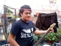 smell like teen spirit relativo