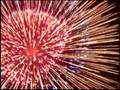 第21回 東京湾大華火祭 (2008) アノテーション付